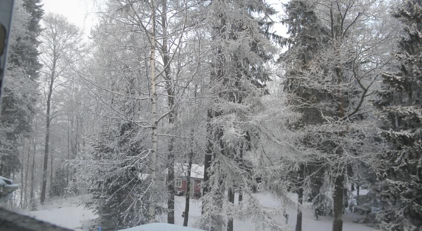 Neitsytniemen Kartano Bed & Breakfast Imatra Room photo