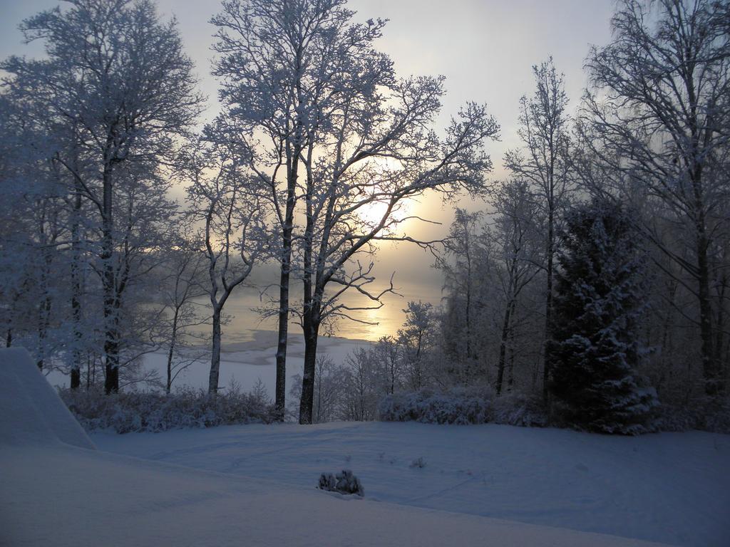 Neitsytniemen Kartano Bed & Breakfast Imatra Exterior photo